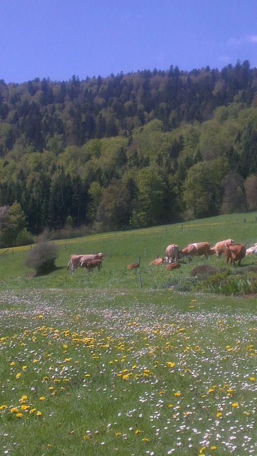 La Petite Fleur Leilighet Enges Eksteriør bilde